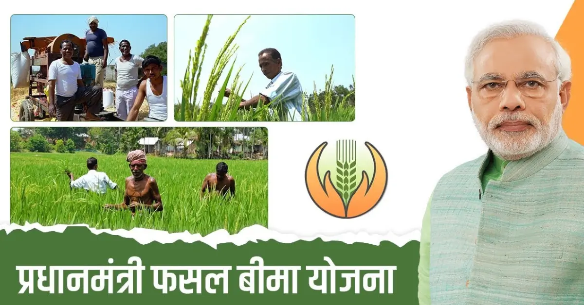 PM Fasal Bima Yojana 2025: pmfby.gov.in पर स्टेटस और पैसा कैसे चेक करें?